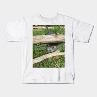 a grey African cat Kids T-Shirt